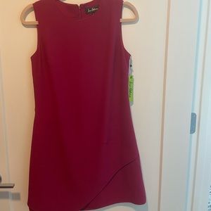 Sam Edelman Raspberry Dress, size 6